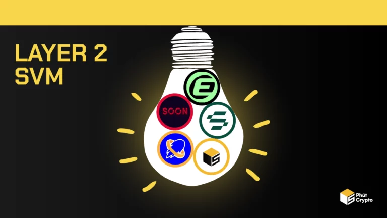 Hệ sinh thái SVM