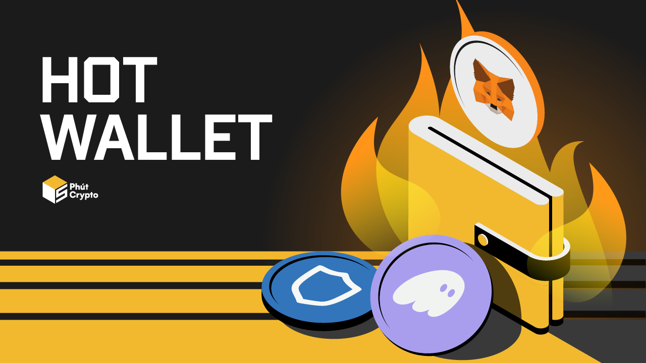 Ví nóng là gì? Kinh nghiệm sử dụng ví nóng cho người mới 