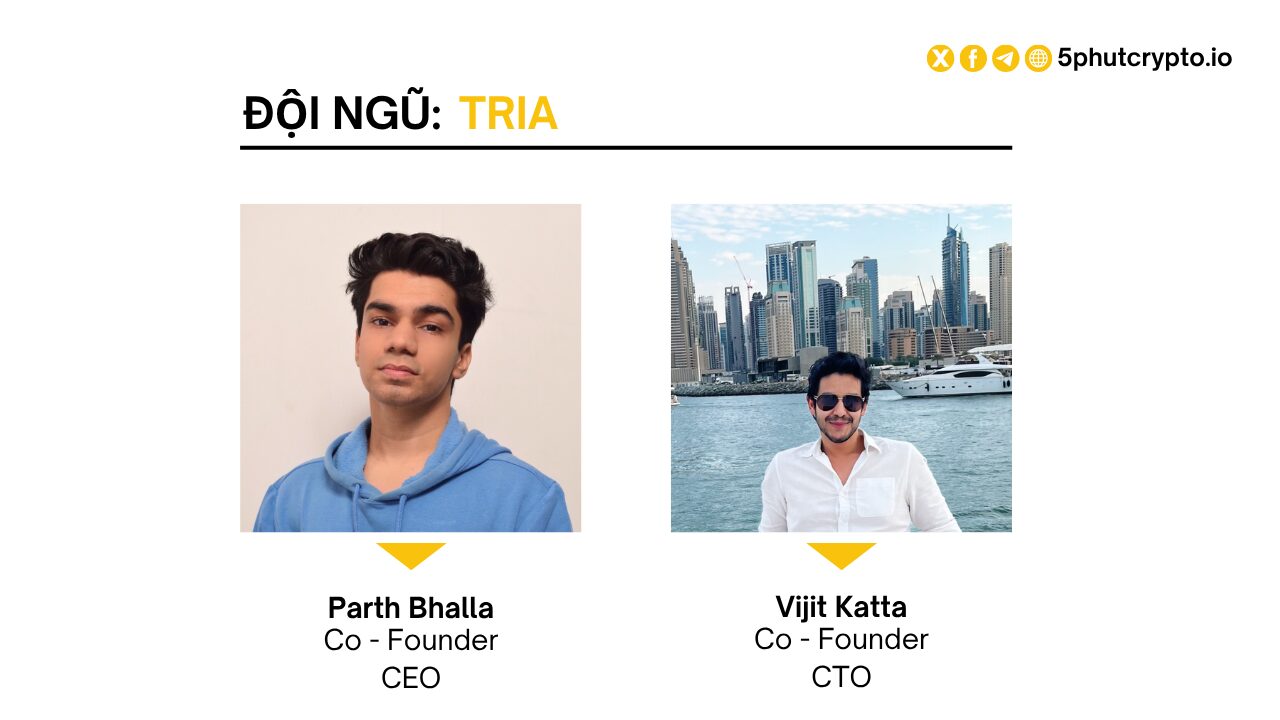 Đội ngũ phát triển của Tria