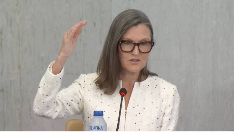 Giám đốc điều hành ARK Invest Cathie Wood