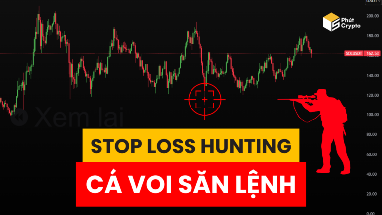 Stop Loss Hunting là gì - Cách cá voi săn lệnh Stop Loss của bạn
