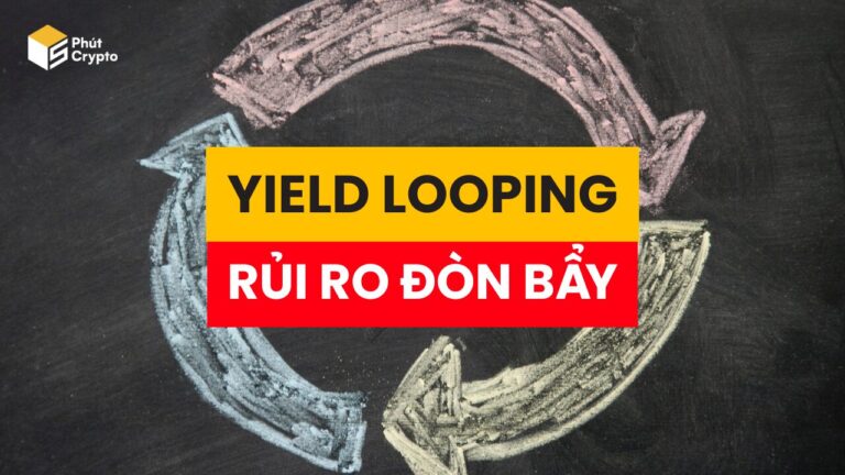 Yield Looping là gì