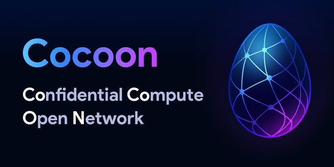 Cocoon là gì? Mạng điện toán đám mây an toàn