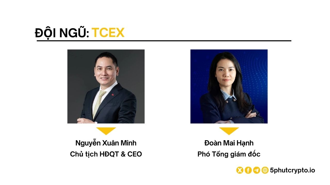Đội ngũ phát triển TCEX
