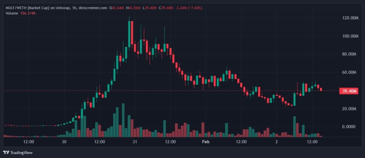 Giá MOLT token tăng rồi giảm mạnh chỉ trong vài ngày